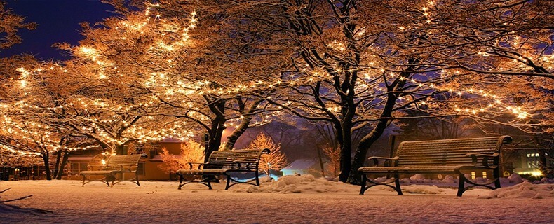 Toronto Christmas Market