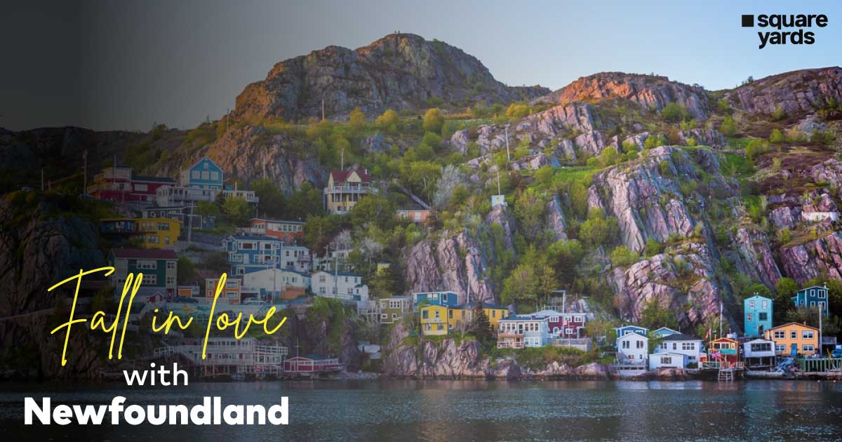 11 Reasons You'll Never Want To Leave Newfoundland