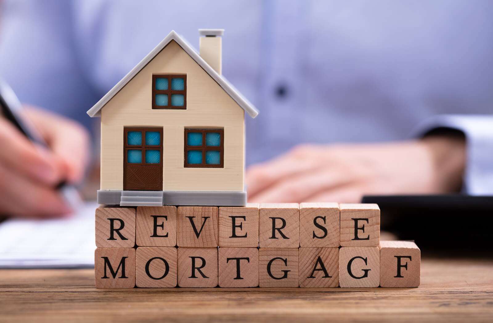 What are The Types of Reverse Mortgages?